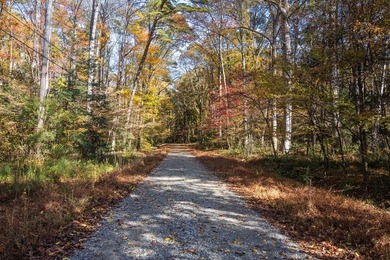 Treetops is an exceptional waterfront estate on the Corrotoman - photo 6