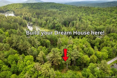 (private lake, pond, coastal) Lot For Sale in Call Listing Agent New York