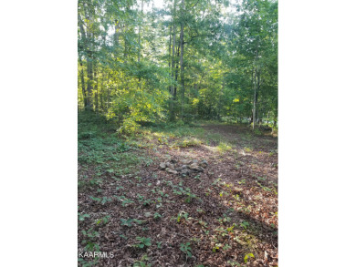 Watts Bar Lake Lot For Sale in Kingston Tennessee