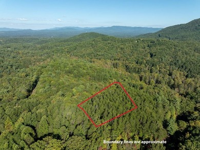 Lake Dakwa Acreage For Sale in Ellijay Georgia