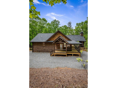 Lake Blue Ridge Home For Sale in Blue Ridge Georgia