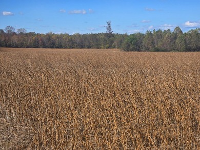 8.5 parcels located near Heathsville within a short commute to - photo 2