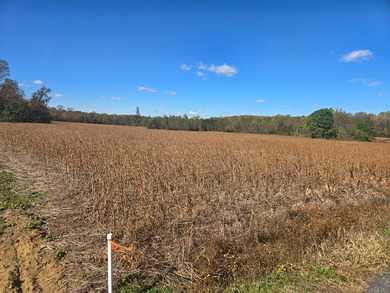 8.5 parcels located near Heathsville within a short commute to - photo 3