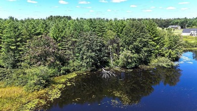 Here is your waterfront oasis you have been looking for. Over - photo 4