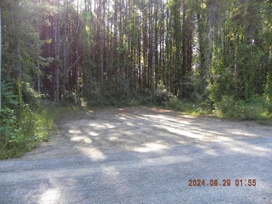 Here is your waterfront oasis you have been looking for. Over - photo 7