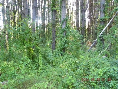 Here is your waterfront oasis you have been looking for. Over - photo 9