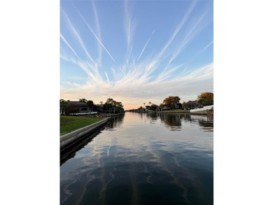 Saltwater Canal Home on Rare Basin Tip Lot Enjoy the ultimate - photo 3