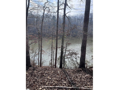 Enjoy lake living in a beautiful community on Lake Hartwell - photo 3