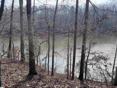 Enjoy lake living in a beautiful community on Lake Hartwell - photo 4