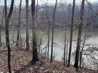 Enjoy lake living in a beautiful community on Lake Hartwell - photo 5