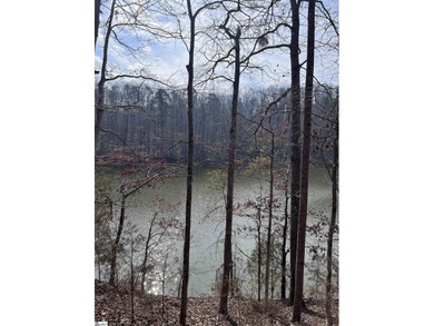 Enjoy lake living in a beautiful community on Lake Hartwell - photo 7