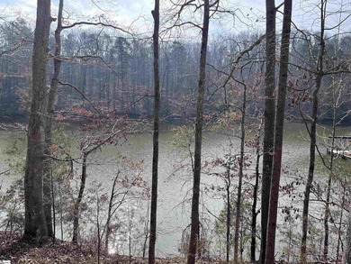 Enjoy lake living in a beautiful community on Lake Hartwell - photo 8