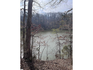Enjoy lake living in a beautiful community on Lake Hartwell - photo 9