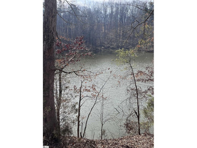 Enjoy lake living in a beautiful community on Lake Hartwell - photo 10