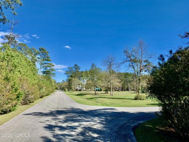 Remaining lots in Pintail Point, Subdivision for Sale - 49 Lots - photo 8
