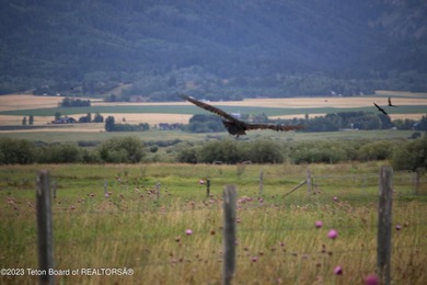 This remarkable 50.62-acre parcel truly checks every - photo 13