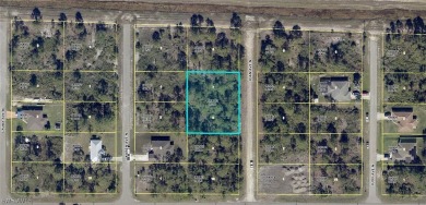 Lehigh Acres Area Lot For Sale in Lehigh Acres Florida