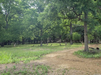 Build your dream home on this exceptional 1/2-acre lot in one of - photo 28
