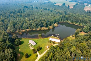 Here is your opportunity to own nearly 120 acres in Dinwiddie - photo 2