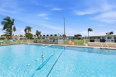 One of the most extensively updated homes in The Mainlands, this - photo 33