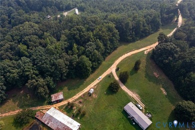 Here is your opportunity to own nearly 120 acres in Dinwiddie - photo 6