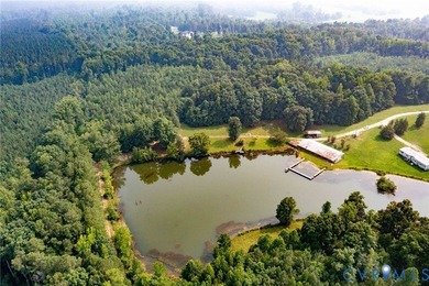 Here is your opportunity to own nearly 120 acres in Dinwiddie - photo 7