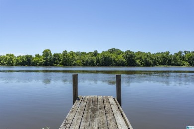 Lake Lot For Sale in Childersburg, Alabama