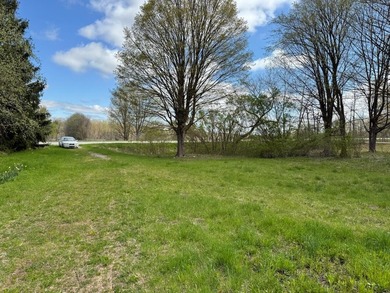 (private lake, pond, creek) Acreage For Sale in Casnovia Michigan