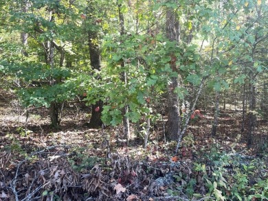 Lake Lot For Sale in Hiawassee, Georgia