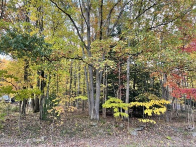 Mauch Chunk Lake Lot For Sale in Summit Hill Pennsylvania