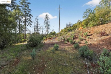 Prime 40-acre investment opportunity just 4 miles from Downtown - photo 2