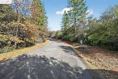 Prime 40-acre investment opportunity just 4 miles from Downtown - photo 3