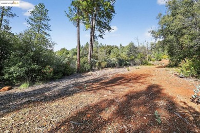 Prime 40-acre investment opportunity just 4 miles from Downtown - photo 4