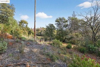Prime 40-acre investment opportunity just 4 miles from Downtown - photo 5