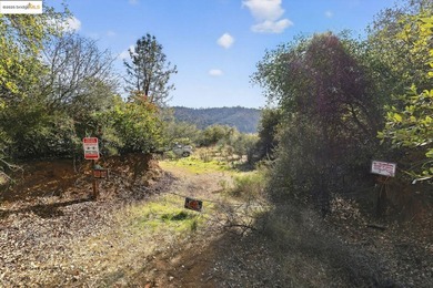 Prime 40-acre investment opportunity just 4 miles from Downtown - photo 6