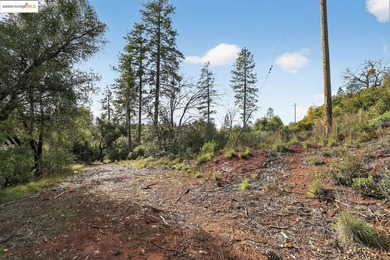 Prime 40-acre investment opportunity just 4 miles from Downtown - photo 7