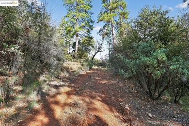 Prime 40-acre investment opportunity just 4 miles from Downtown - photo 8