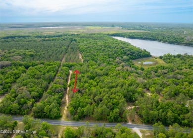 Lake Loyal Lot For Sale in Hawthorne Florida