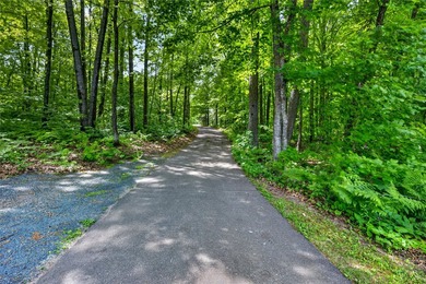 Like new, extensively remodeled Long Lake Retreat! Experience - photo 49