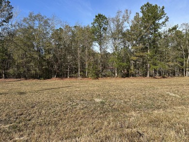 Lake Moultrie Lot For Sale in Bonneau South Carolina