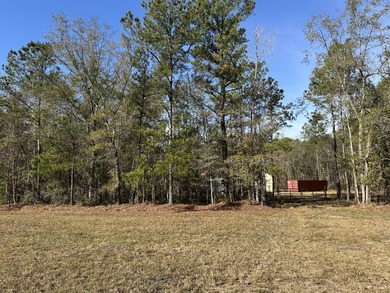 This great 1 acre homesite with underground power is partially - photo 3