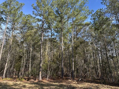 This great 1 acre homesite with underground power is partially - photo 5