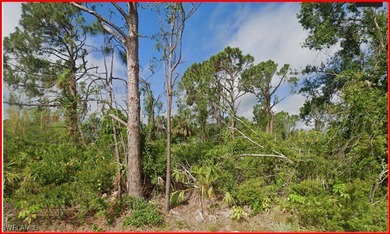 Port Charlotte Waterway Area Lot For Sale in Port Charlotte Florida