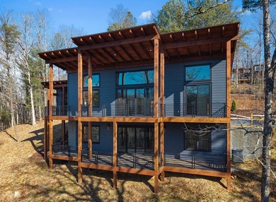 Toccoa River - Fannin County Home For Sale in Mineral Bluff Georgia