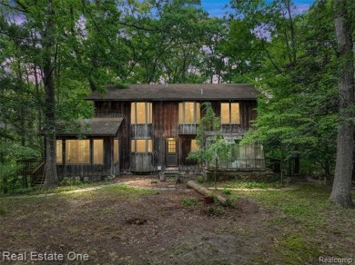 (private lake, pond, creek) Home Active Under Con in Commerce Twp Michigan