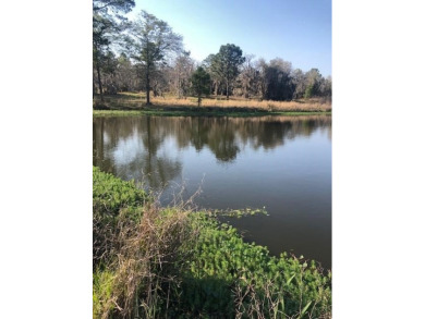 Lake Acreage For Sale in Hazlehurst, Georgia