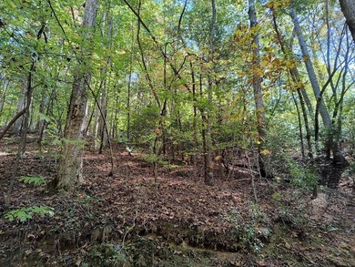 Coosawattee River - Gilmer County Lot For Sale in Ellijay Georgia