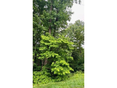 Lake De Jarnette Lot For Sale in Ruther Glen Virginia