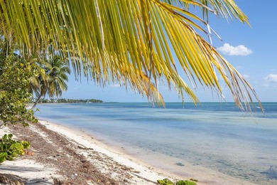 Welcome to Casa Matecumbe, an extraordinary oceanfront sanctuary - photo 1