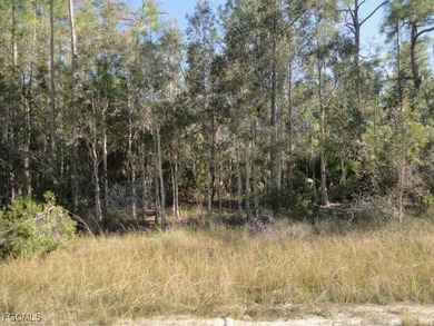 Lehigh Acres Area Lot For Sale in Lehigh Acres Florida